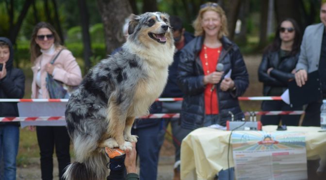 Dog Fest 2019 evento cani Villa Trabia Palermo