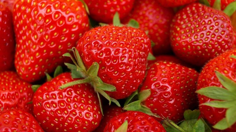 Sagra della Fragola di Cassibile fragole Siracusa