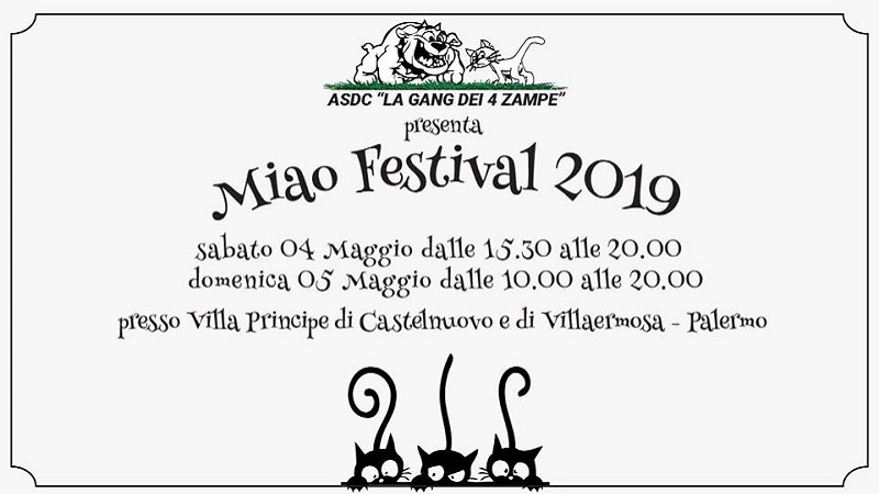 Miao Festival 2019 a Palermo l'evento dedicato ai gatti