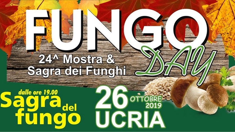 Fungo Day: Mostra e Sagra dei funghi a Ucria il 26 ottobre