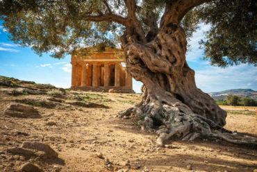 Agriturismo Agrigento